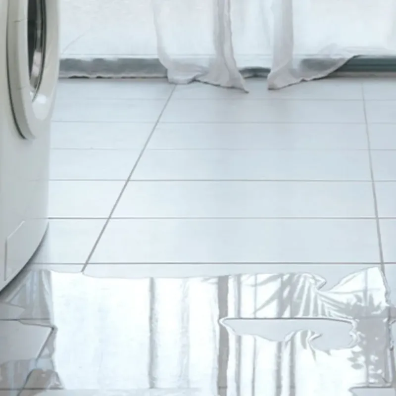 Appliance Leak Cleanup in Garner, IA