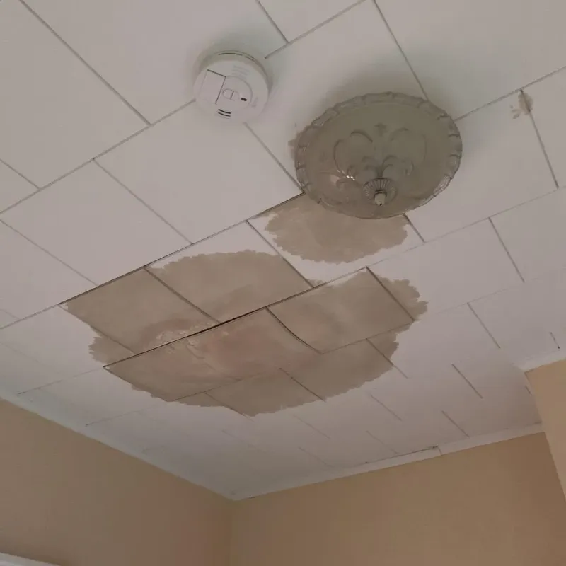 Ceiling Water Damage Repair in Garner, IA