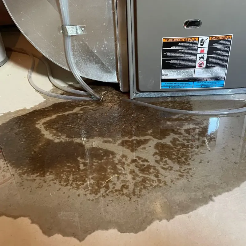 Pipe Burst and Leak Restoration in Garner, IA