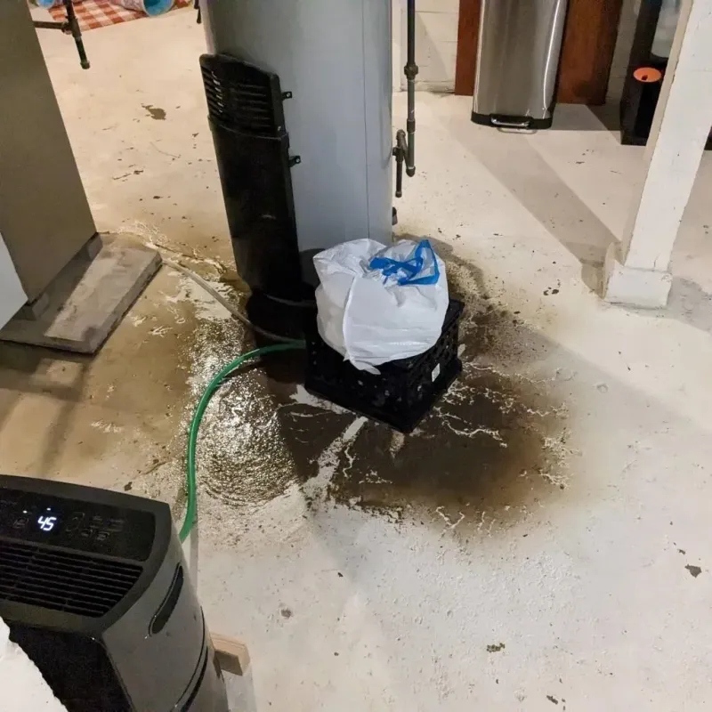 Sewage Backup Cleanup Service in Garner, IA